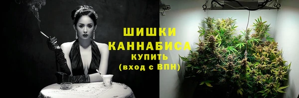 СК Кукмор