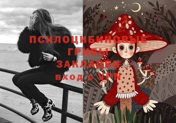 мдпв Куйбышев