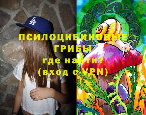 мдпв Куйбышев